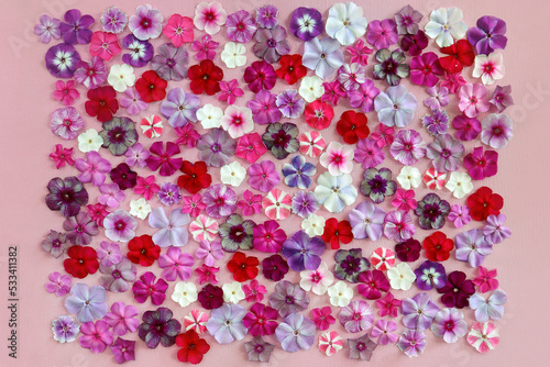 A square-shaped floral arrangement of a variety of phlox flowers.