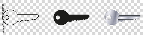 Access key line art icon for apps and website