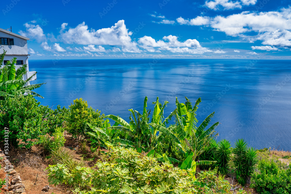 Fototapeta premium Amazing coastline of Madeira in summer season. Beautiful european island on a sunny day, Portugal
