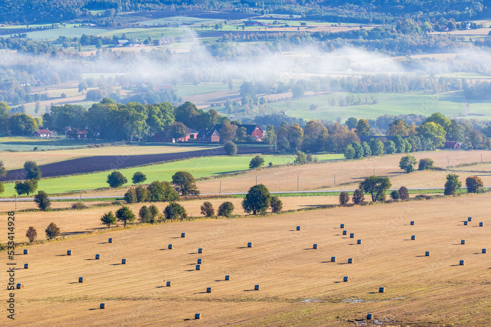 Obraz premium Rural landscape view with bales on a field