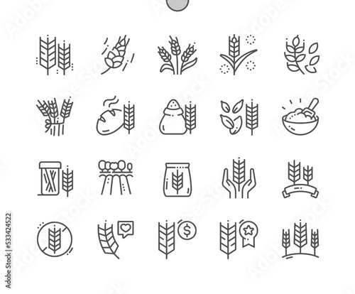 Wheat. Nature vegetable organic food nutrition. Buy, price and product reviews. Pixel Perfect Vector Thin Line Icons. Simple Minimal Pictogram