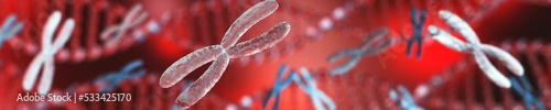 Chromosome, X chromosome, human gene, heredity, chromosome on a blurred background, 3D rendering