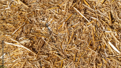 Straw hay under warm sunlight, autumn background