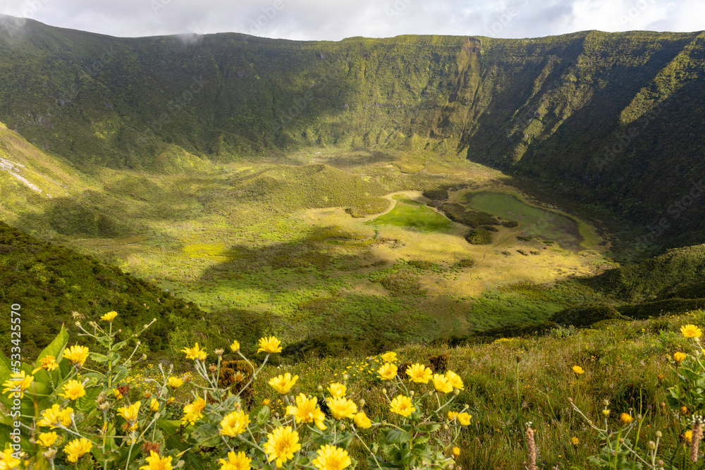 Azoren: Vulkan-Wandern auf der Insel Faial: Caldeira do Cabeca Gordo mit gelben Blumen