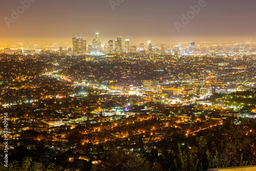 Night high angle view of the Los Angeles downtown © Kit Leong