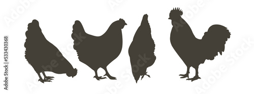 chicken  hen bird. Poultry  broiler  farm animal feeding. Vintage Easter card. Egg packaging design. Realistic sketch  line  silhouette  engraving illustration.