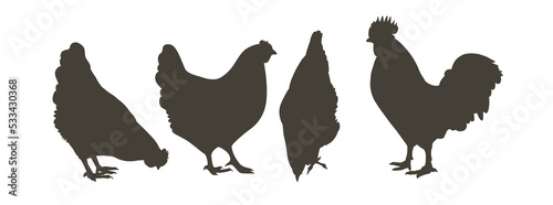 chicken, hen bird. Poultry, broiler, farm animal feeding. Vintage Easter card. Egg packaging design. Realistic sketch, line, silhouette, engraving illustration.