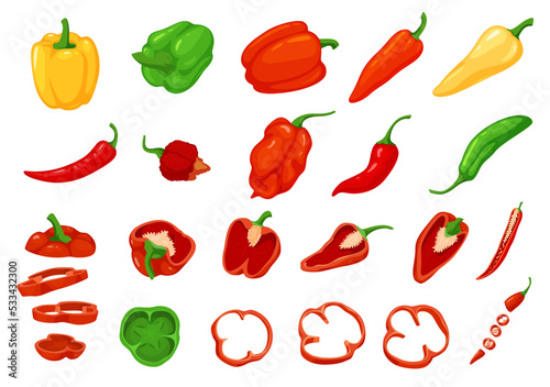 A set of different sweet and hot peppers. Chopped pieces of vegetables. Vector illustration