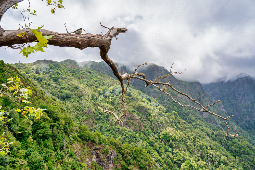 Mountains of Madeira Island against blue sky on the background, Portugal Mountains of Madeira Island against blue sky on the background, Portugal