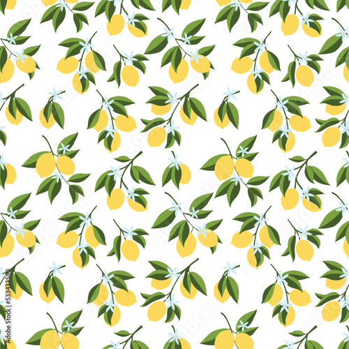 Seamless pattern of hand drawn lemon branch. Floral print. Sketch Exotic tropical citrus fresh fruit, lemons with leaves and flowers. Vector cartoon minimalistic style illustration. Cute Doodle