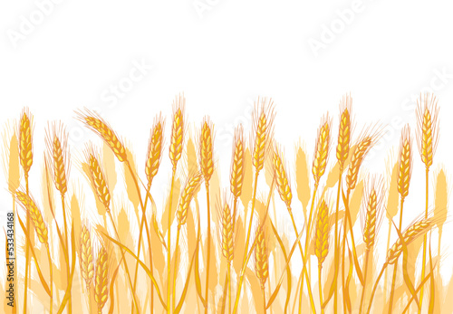 Ears of wheat. Barley cereals harvest, spike, grain, corn, agriculture, organic farming, healthy food symbol. Bakery design element. Vector illustration