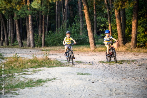 Two active little sibling boys having fun on bikes in forest on warm day.