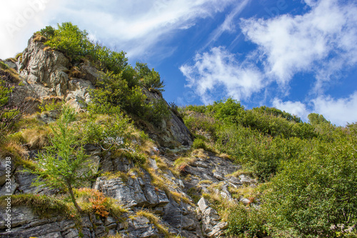 Landscape in Austian Alps, Austria