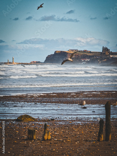 house on the beach