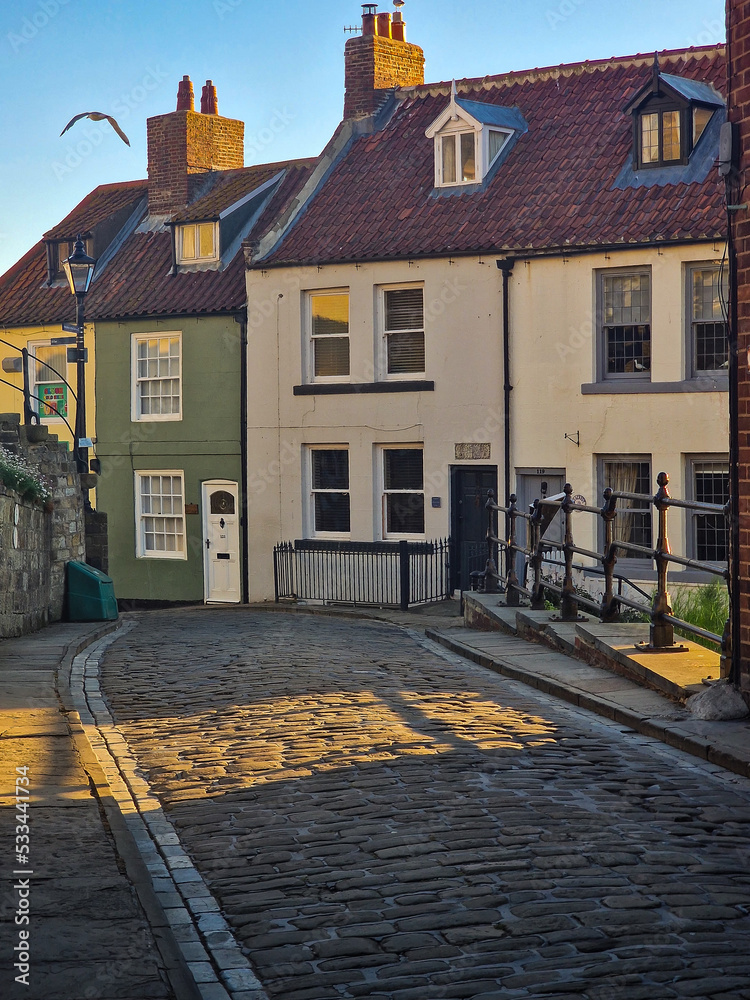 Fototapeta premium Henrietta street Whitby