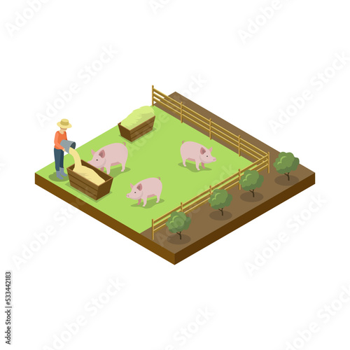 Pigs breeding on ranch isometric 3D element. Natural farming, traditional agribusiness isolated vector illustration.