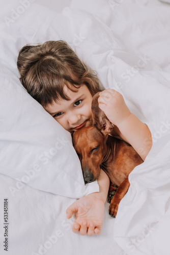 baby little girl hugs dachshund dog at home in bed. white bed linen. love for pets