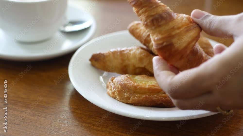 fresh baked croissant on plate with copy space 