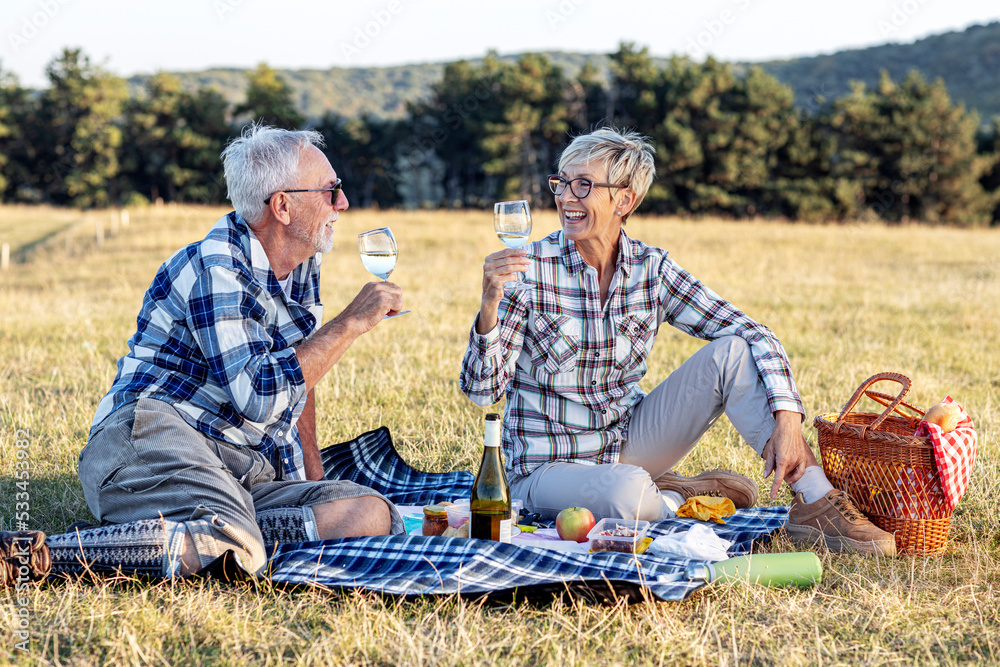 Obraz premium Senior couple in nature enviroment drink vine and make picnic on blanket with food, relaxed and fun
