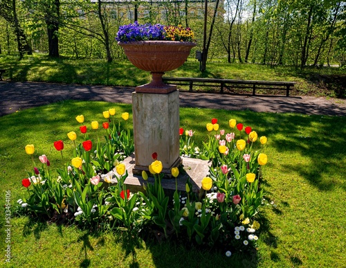 Kwiaty, ogród,  foto w. FONDALINSKI