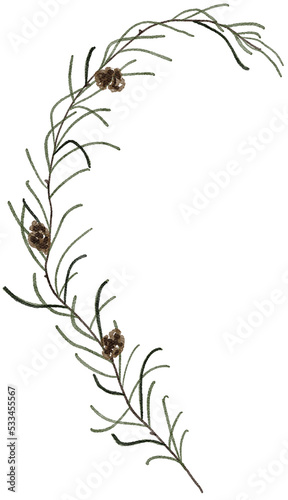 Watercolor winter fir branch illustration. Delicate fragile Christmas botanical floral spruce branch leaf