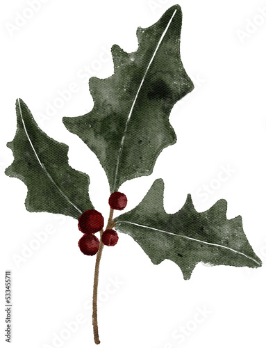 Watercolor winter holly plant illustration. Delicate fragile Christmas botanical twig leaf
