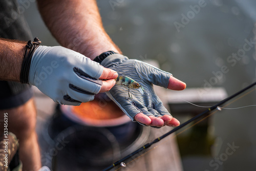 The fisherman in gloves holds the bait. The fisherman holds the bait in his hands. Spinning and hard lure. photo