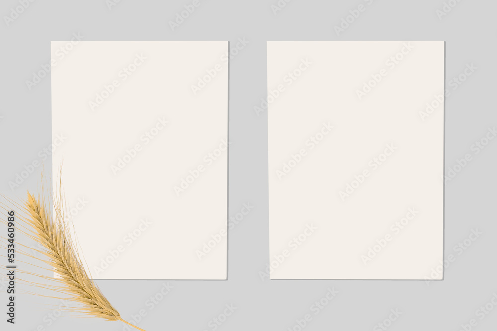 Mockup of two white invitation cards with a branch of wheat. Invitation and booklet. Mockup of two white invitation cards with a branch of wheat. Invitation and booklet.