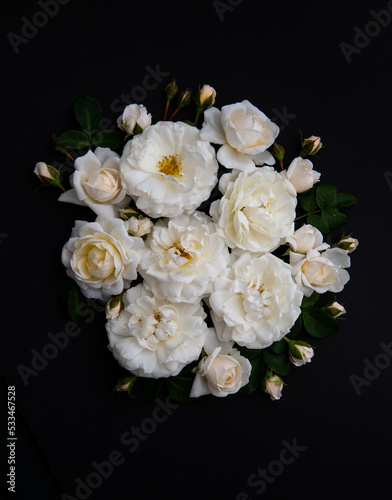 Lots of White Roses on Black Background