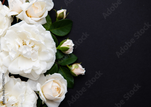 Lots of White Roses on Black Background