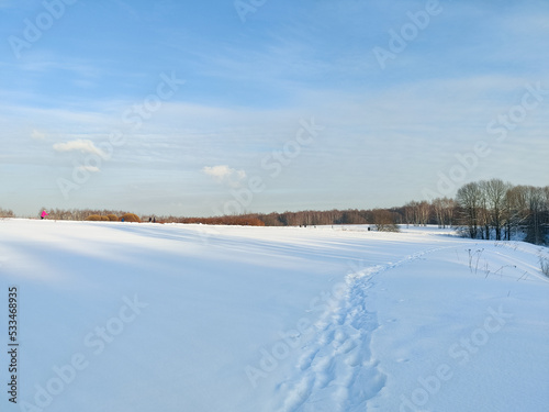 Field in sunny winter noon