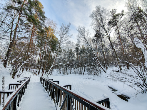 Wooden bridge in a an evening winter park © vasvormich