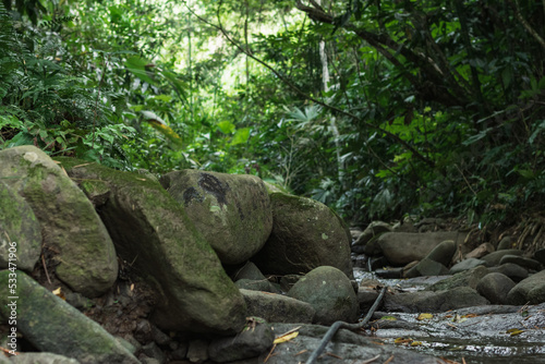 beautiful natural green colombian landscape in the middle of the jungle. close up of some very large stones surrounding a small stream. dense and humid forest in south america.