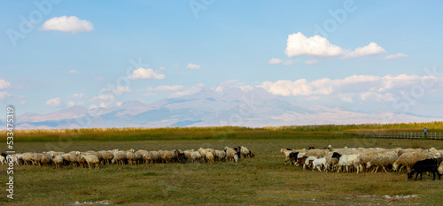 Beautiful landscape and Sultanmarshes (bird paradise) next to erciyes mountain, Kayseri photo