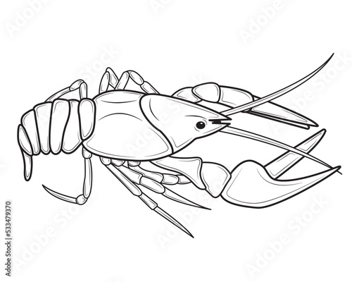 Realistic Lobster or crayfish. Seafood shop logo, signboard, restaurant menu, fish market, banner, poster design template. Fresh seafood. Vector illustration.
