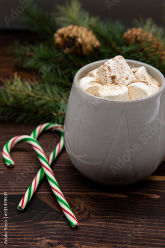 Hot chocolate with marshmallow and coco powder, candy cane pine cones, ribbon, pine needles, pine branch, dark wood, Christmas concept, perspecitve view.