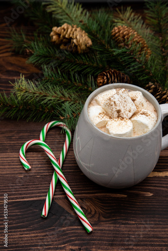 Hot chocolate with marshmallow and coco powder, candy cane pine cones, ribbon, pine needles, pine branch, dark wood, Christmas concept, perspecitve view. photo