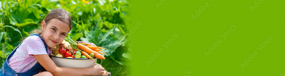 A child with a harvest of vegetables in the garden. Selective focus. - obrazy, fototapety, plakaty 