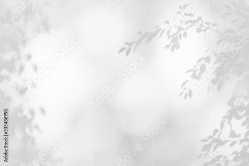 Background of branches and leaves. White wall texture for background wallpaper and any design.