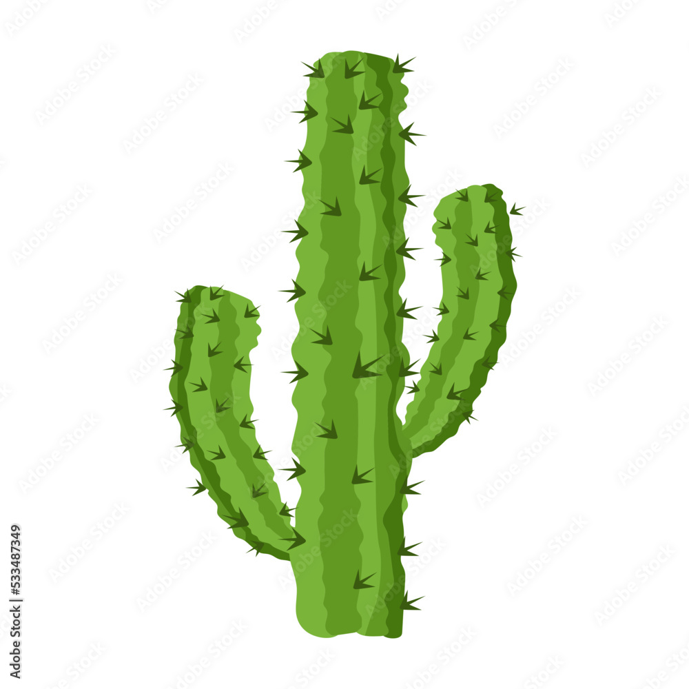 Fototapeta premium Cactus plant flat illustration, editable design 