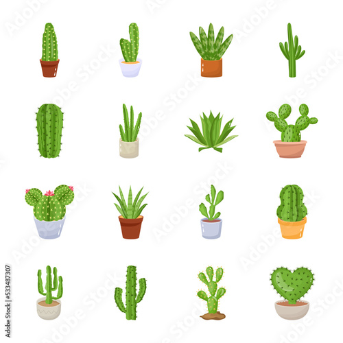 Cactus plant flat illustration, editable design 