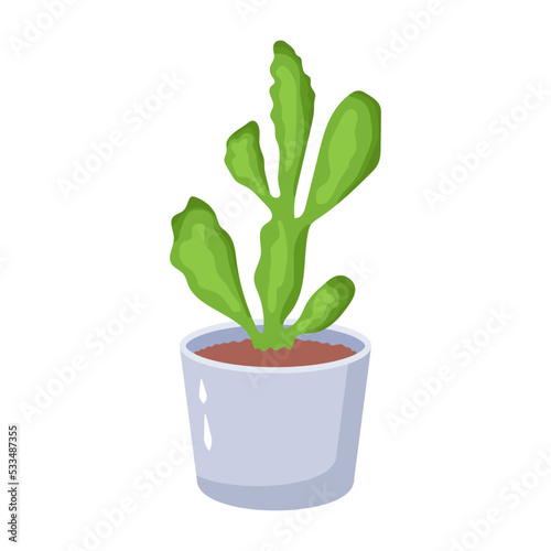 Cactus plant flat illustration, editable design 