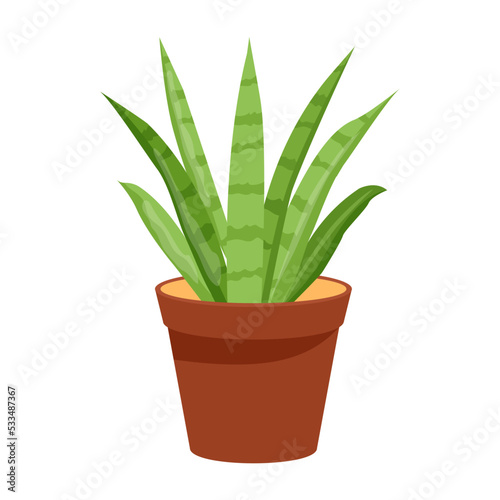 Cactus plant flat illustration, editable design 