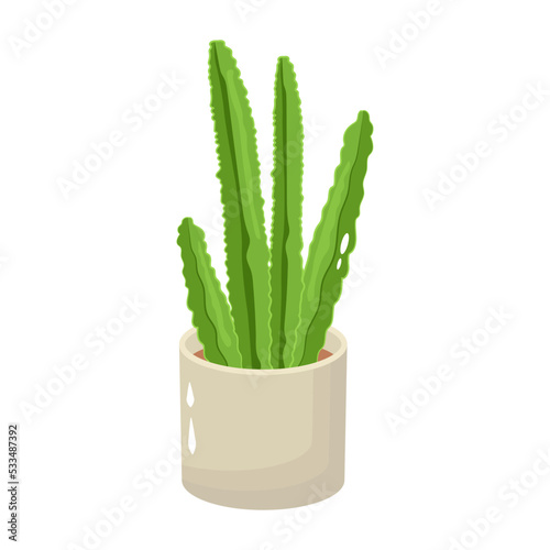 Cactus plant flat illustration, editable design 