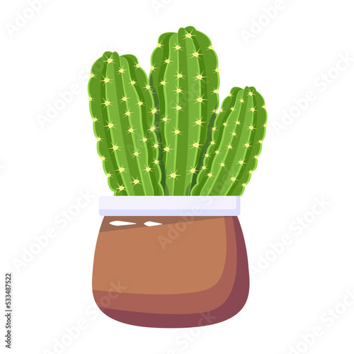 Cactus plant flat illustration, editable design 