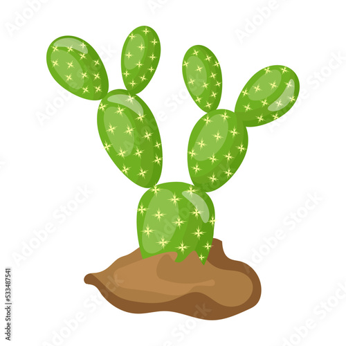 Cactus plant flat illustration, editable design 