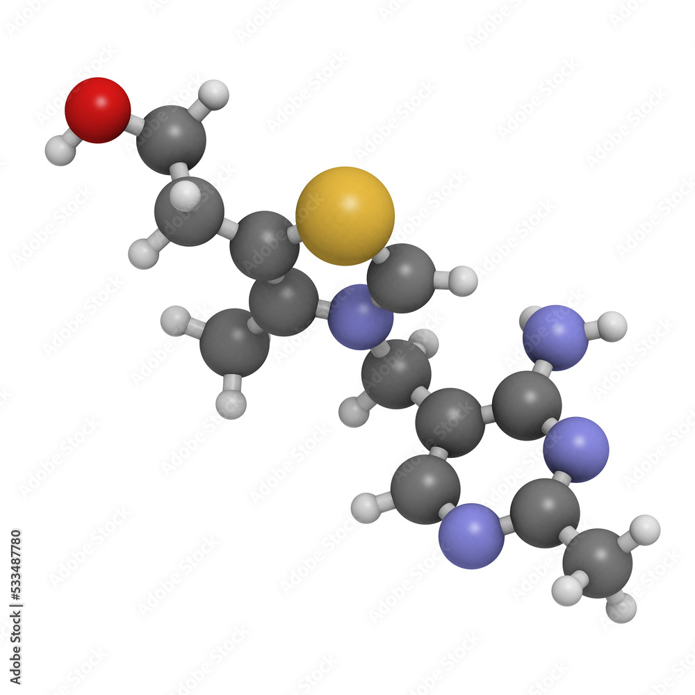 Vitamin B1 (thiamine) molecule Vitamin B1 (thiamine) molecule