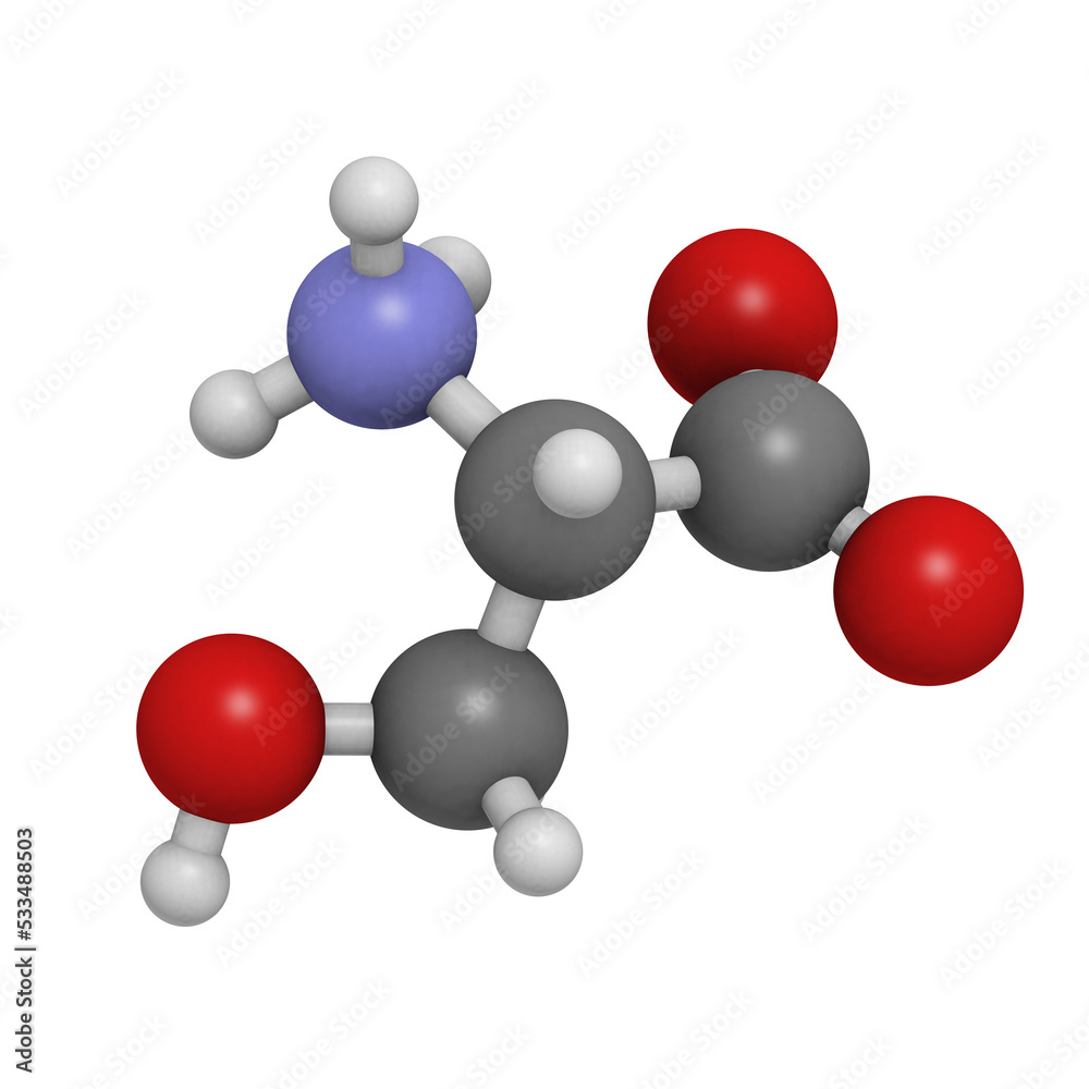 Serine (Ser, S) amino acid, molecular model. Serine (Ser, S) amino acid, molecular model.