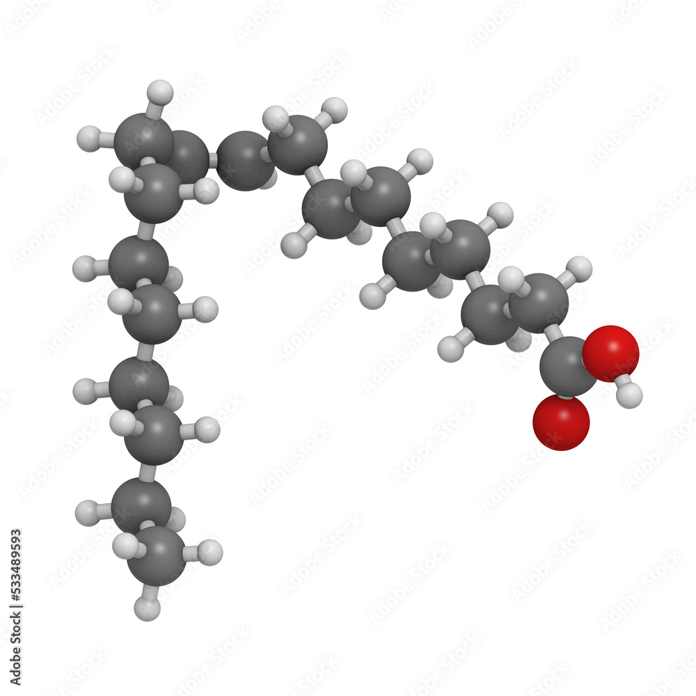 Oleic acid omega-9 fatty acid, molecular model Oleic acid omega-9 fatty acid, molecular model