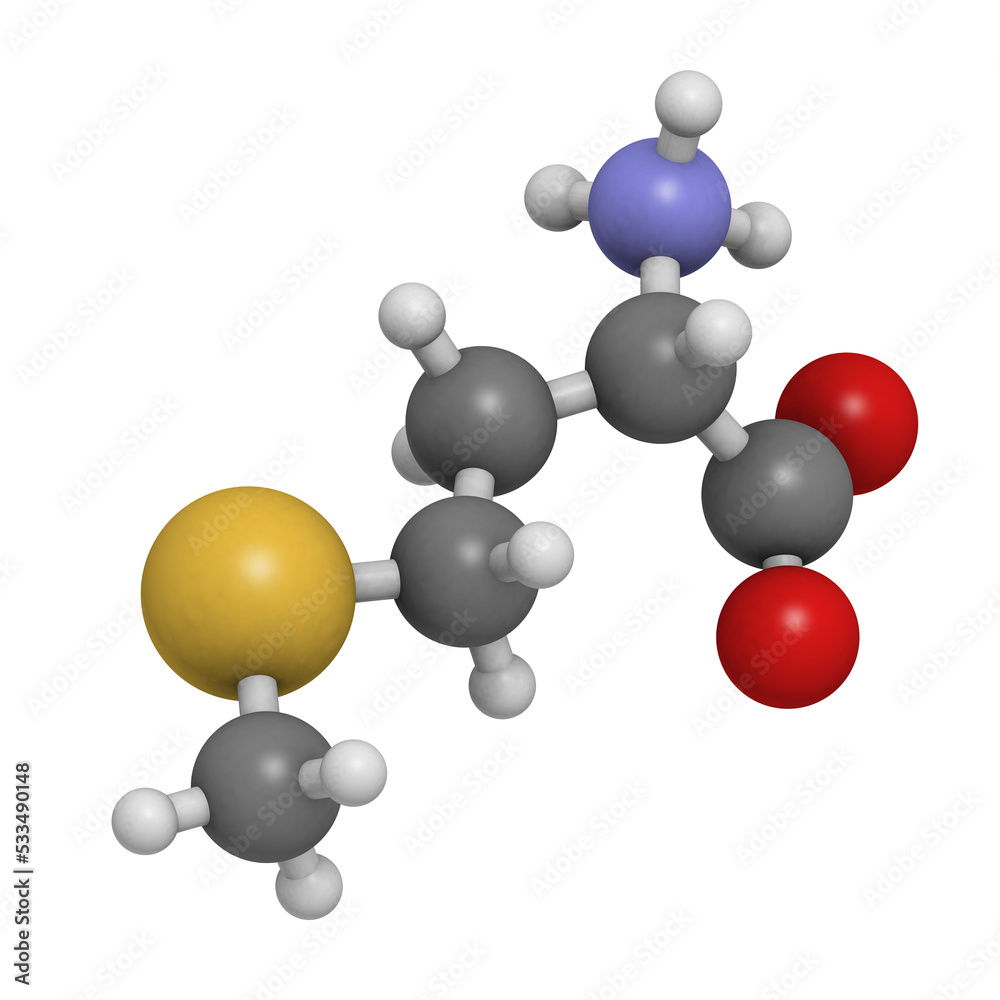 Methionine (Met, M) amino acid, molecular model. Methionine (Met, M) amino acid, molecular model.